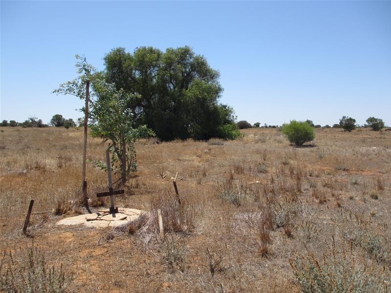 Lot 9 Stott Highway, Swan Reach SA 5354