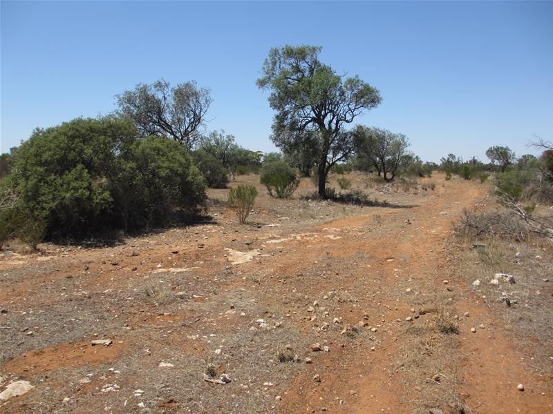 Lot 9 Stott Highway, Swan Reach SA 5354