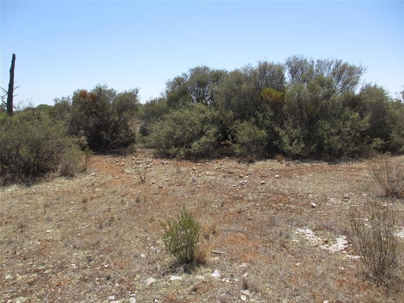 Lot 9 Stott Highway, Swan Reach SA 5354