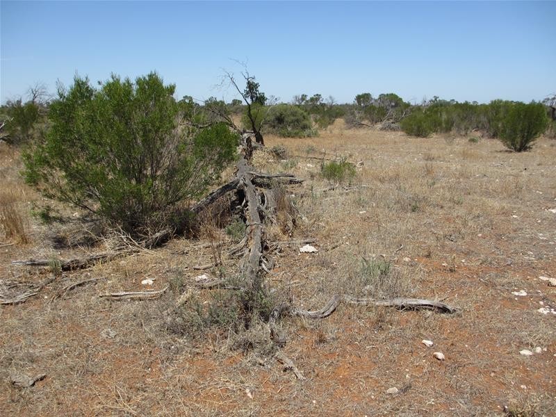 Lot 9 Stott Highway, Swan Reach SA 5354