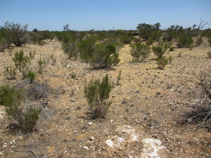 Lot 9 Stott Highway, Swan Reach SA 5354