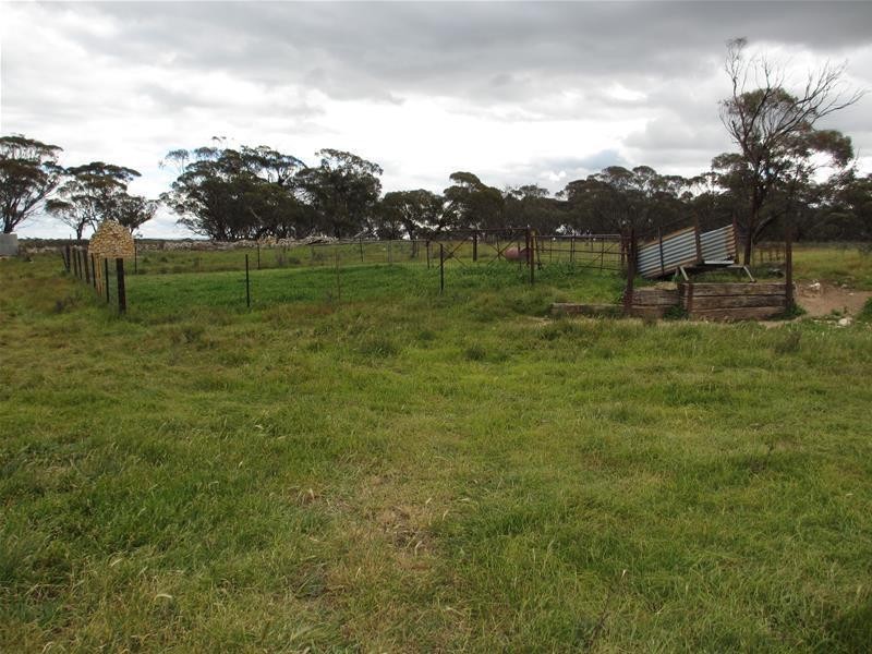 S 157, 173, 175 Schroeder and Strauss Roads, Black Hill SA 5353