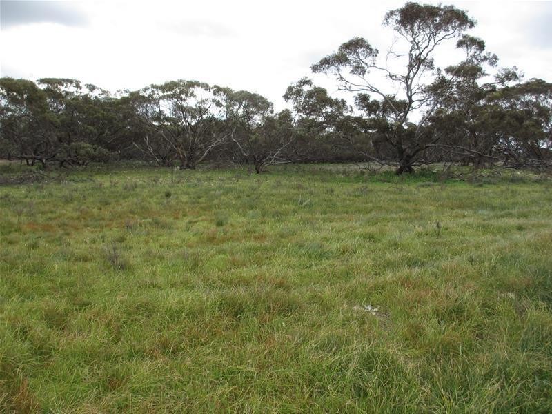 S 157, 173, 175 Schroeder and Strauss Roads, Black Hill SA 5353