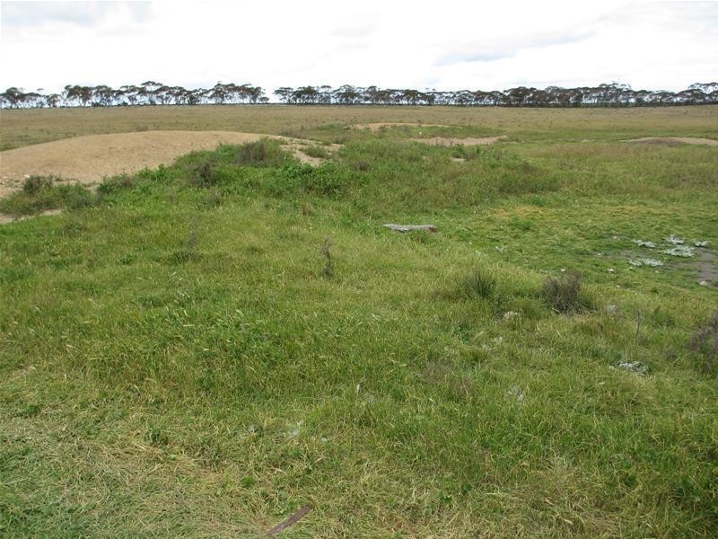 S 157, 173, 175 Schroeder and Strauss Roads, Black Hill SA 5353