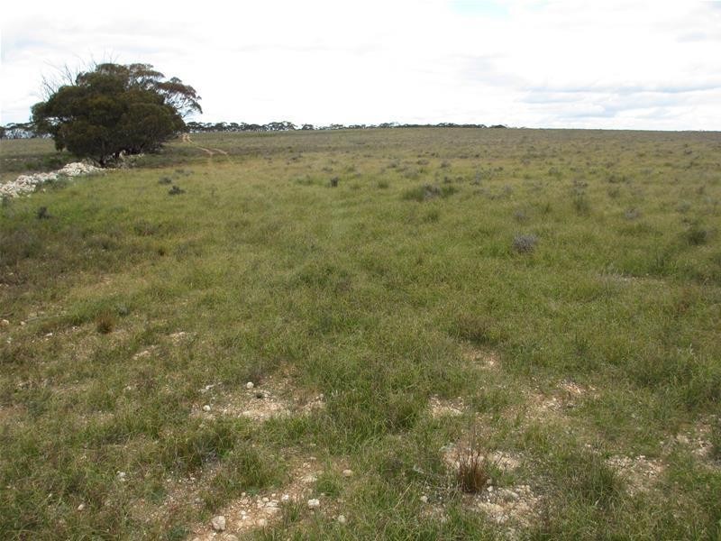 S 157, 173, 175 Schroeder and Strauss Roads, Black Hill SA 5353