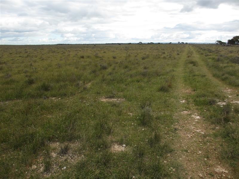 S 157, 173, 175 Schroeder and Strauss Roads, Black Hill SA 5353