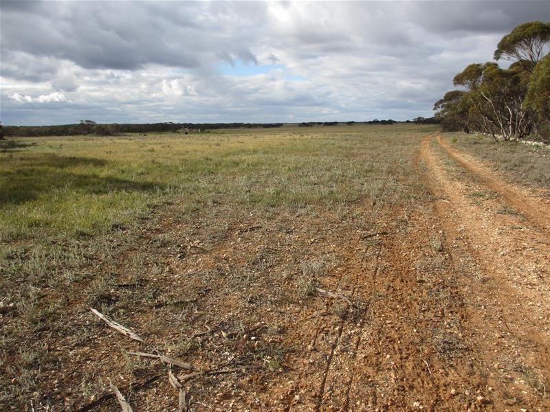 S 157, 173, 175 Schroeder and Strauss Roads, Black Hill SA 5353