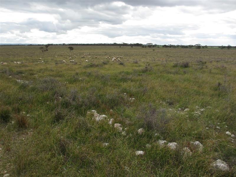 S 157, 173, 175 Schroeder and Strauss Roads, Black Hill SA 5353