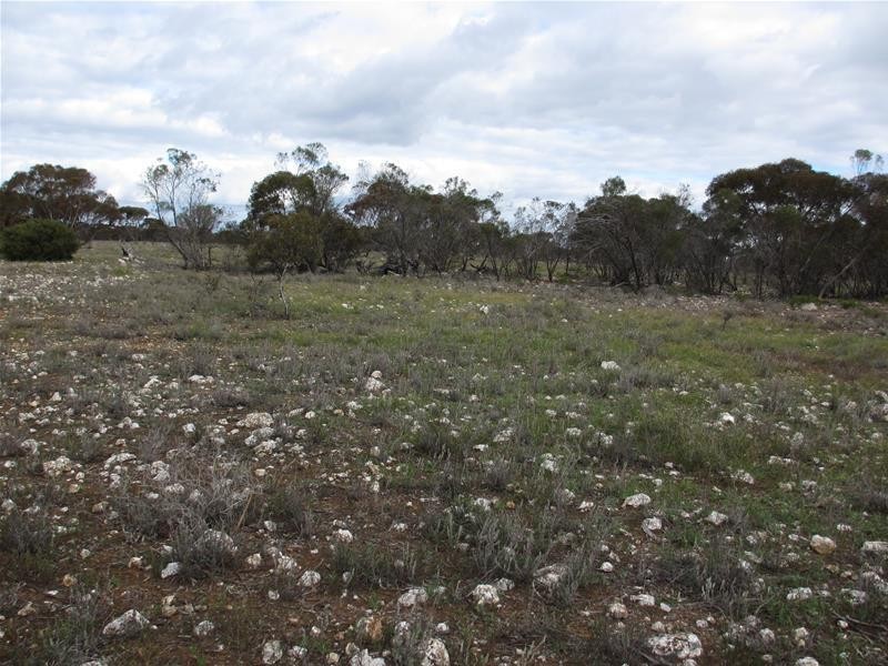 S 157, 173, 175 Schroeder and Strauss Roads, Black Hill SA 5353