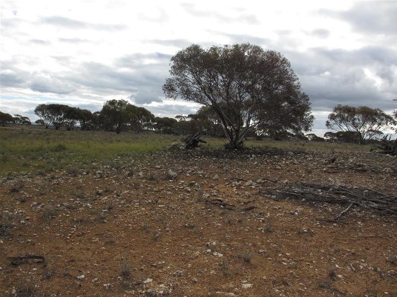 S 157, 173, 175 Schroeder and Strauss Roads, Black Hill SA 5353