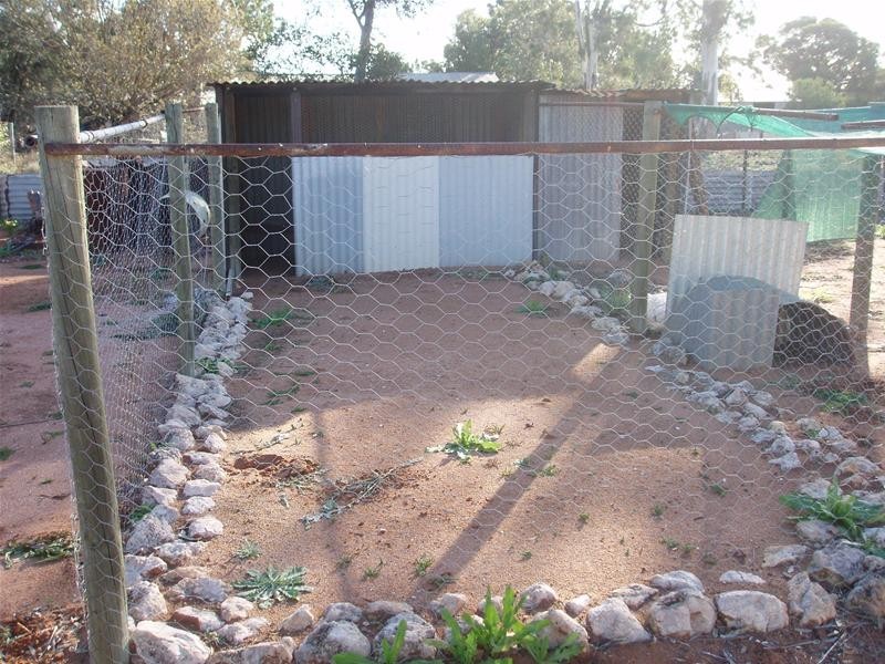 Lot 2 Reisling Road, Nildottie SA 5238