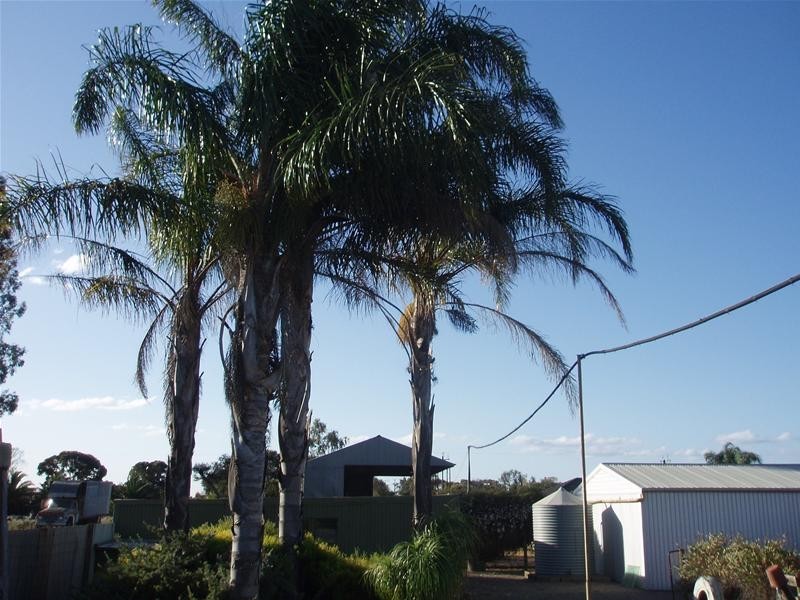 Lot 2 Reisling Road, Nildottie SA 5238