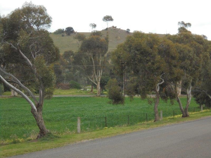 11 Education  Avenue, Palmer SA 5237