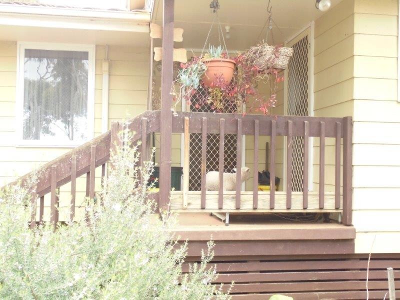 11 Education  Avenue, Palmer SA 5237