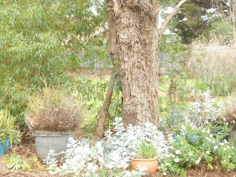 11 Education  Avenue, Palmer SA 5237