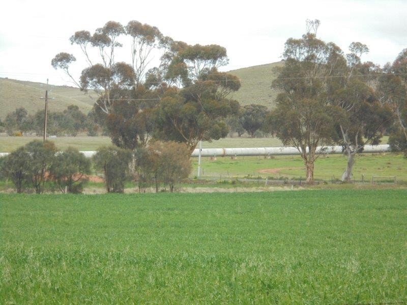 11 Education  Avenue, Palmer SA 5237