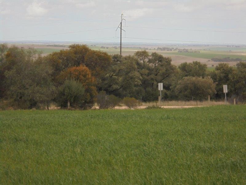 11 Education  Avenue, Palmer SA 5237