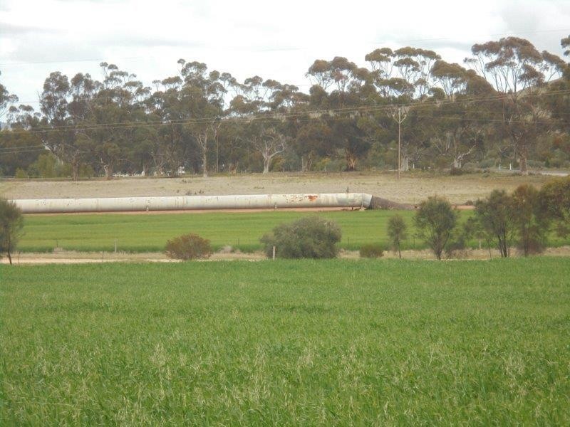 11 Education  Avenue, Palmer SA 5237