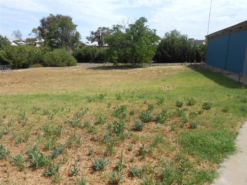 52 Sickerdick Street, Mannum SA 5238