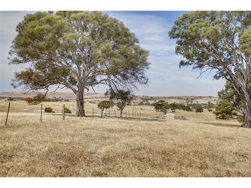 397 Cookes Hill Road, Springton SA 5235