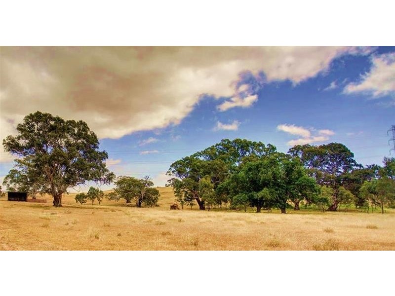 397 Cookes Hill Road, Springton SA 5235