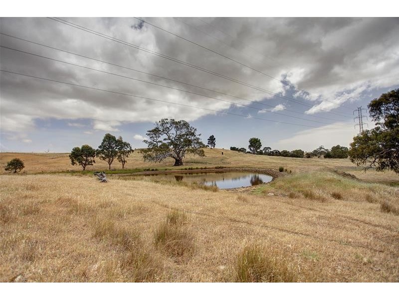 397 Cookes Hill Road, Springton SA 5235