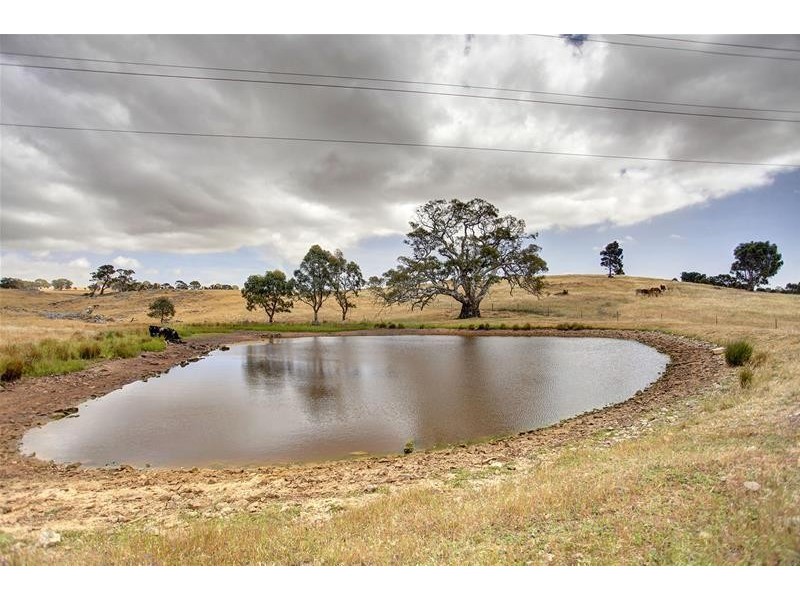 397 Cookes Hill Road, Springton SA 5235