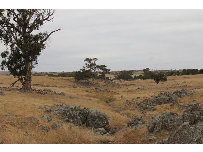 397 Cookes Hill Road, Springton SA 5235