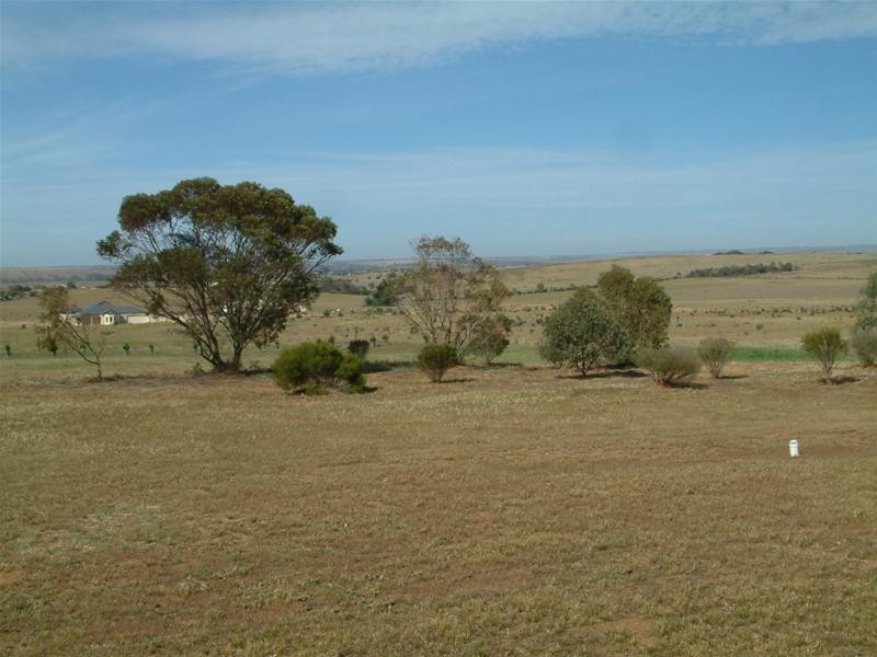 8 Belvedere Road, Mannum SA 5238