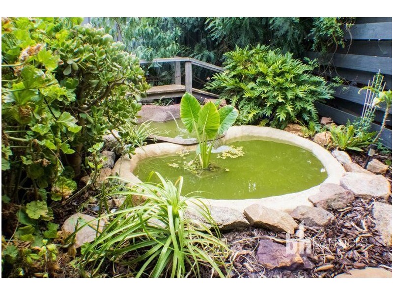 509 Greenshields Road, Younghusband SA 5238