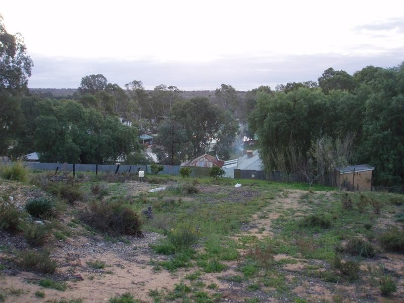 23 Anzac Avenue, Swan Reach SA 5354