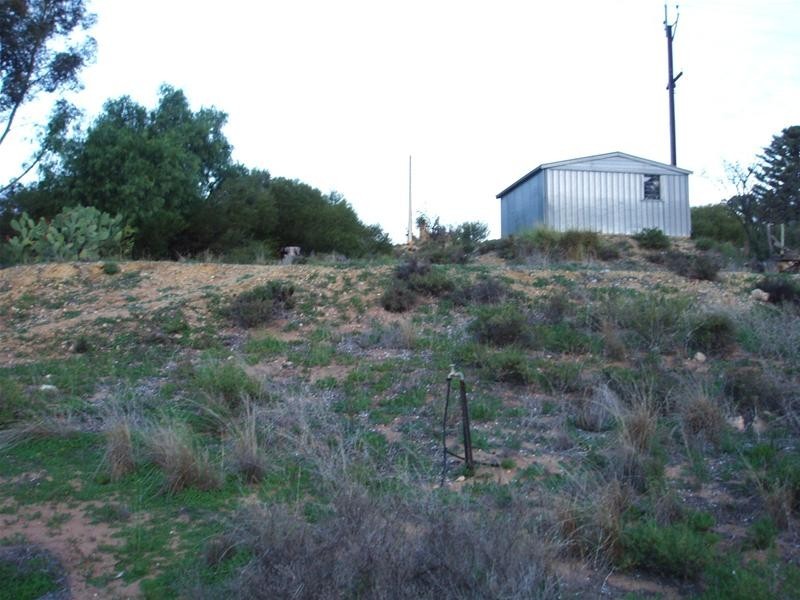 23 Anzac Avenue, Swan Reach SA 5354