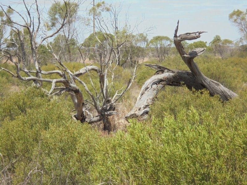 129 Bedrock Road, Swan Reach SA 5354