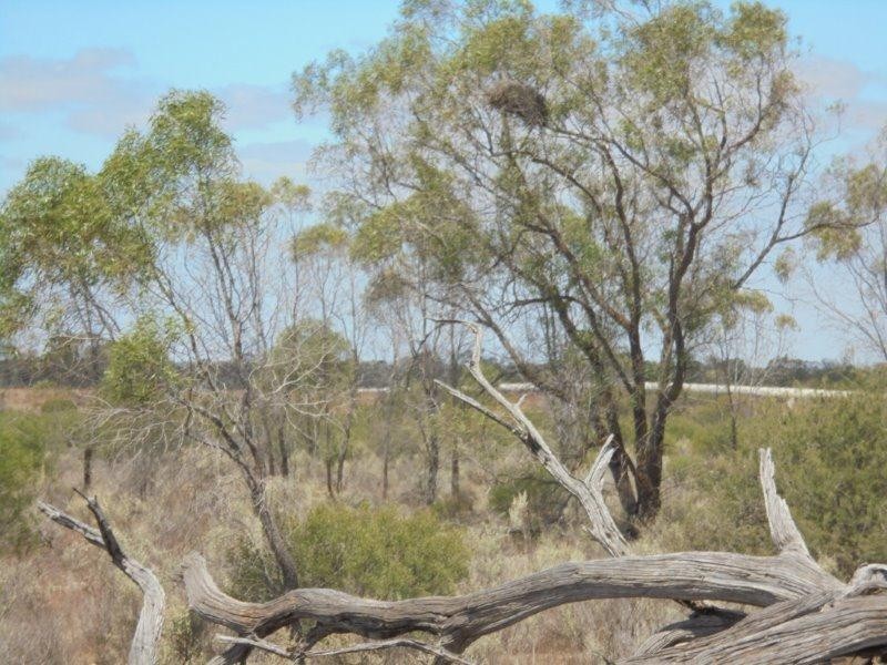 129 Bedrock Road, Swan Reach SA 5354