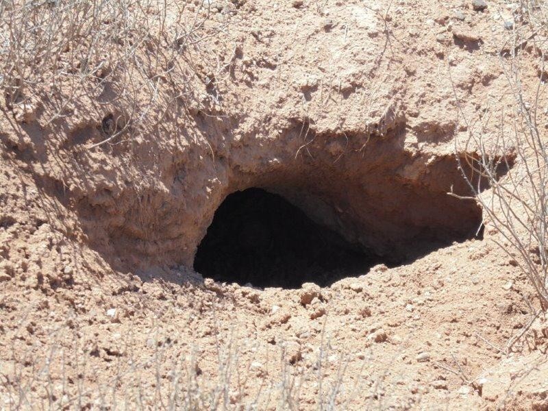 129 Bedrock Road, Swan Reach SA 5354