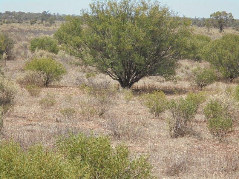 129 Bedrock Road, Swan Reach SA 5354