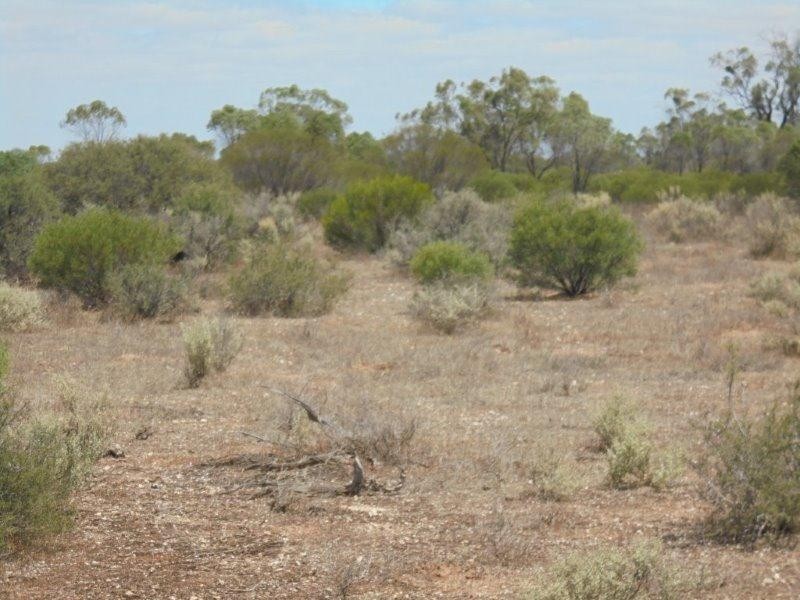 129 Bedrock Road, Swan Reach SA 5354