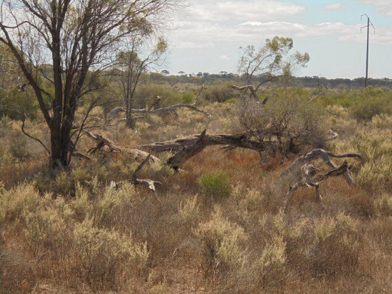 129 Bedrock Road, Swan Reach SA 5354