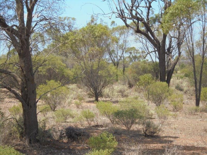 129 Bedrock Road, Swan Reach SA 5354