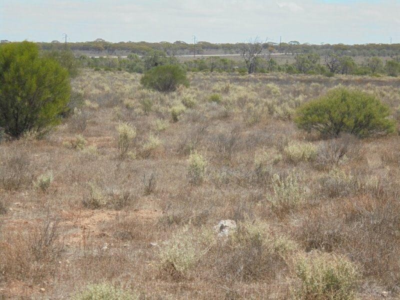 129 Bedrock Road, Swan Reach SA 5354