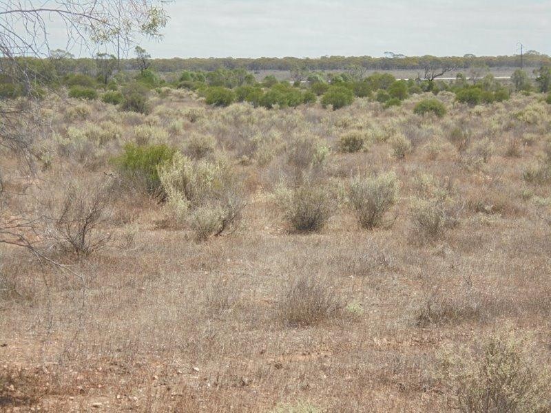 129 Bedrock Road, Swan Reach SA 5354