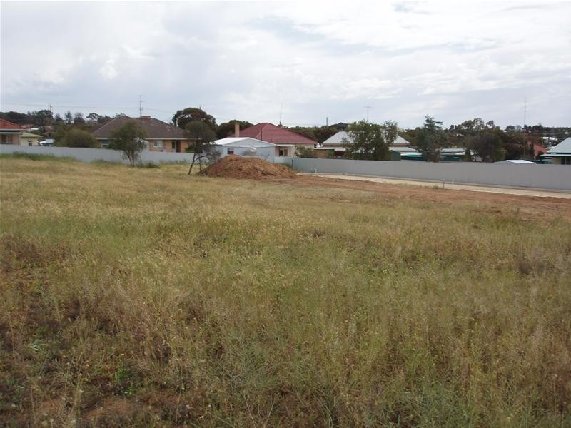 2 Arnold Street, Mannum SA 5238