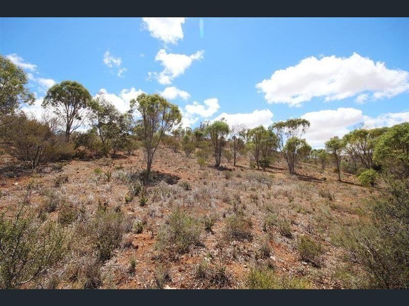 407 Purnong Road, Mannum SA 5238