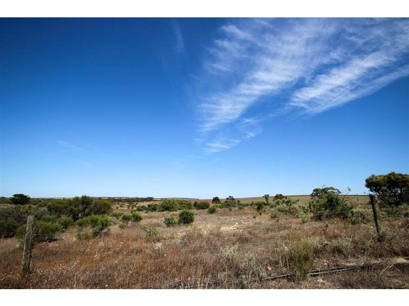 49 Lovers Lane, Mannum SA 5238