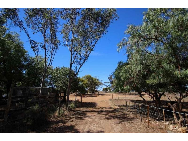49 Lovers Lane, Mannum SA 5238