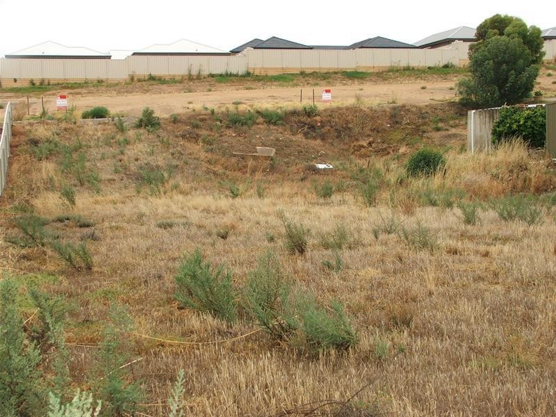 85 Preiss Street, Mannum SA 5238