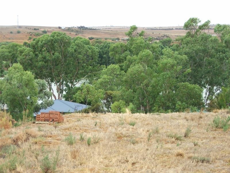 85 Preiss Street, Mannum SA 5238