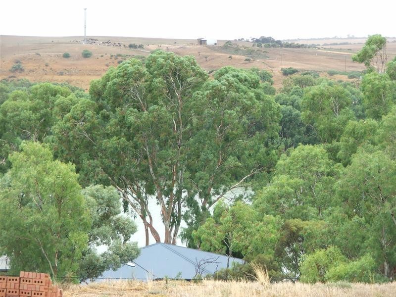 85 Preiss Street, Mannum SA 5238