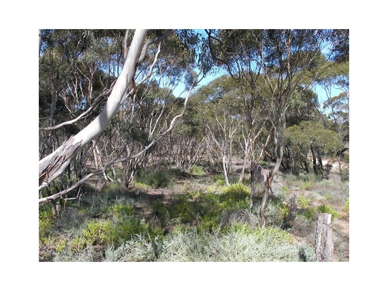 176 & 177 Klose, Herbig & Springs Road, Mannum SA 5238