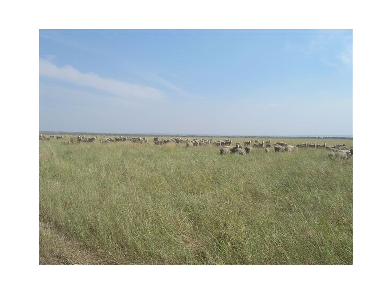 176 & 177 Klose, Herbig & Springs Road, Mannum SA 5238